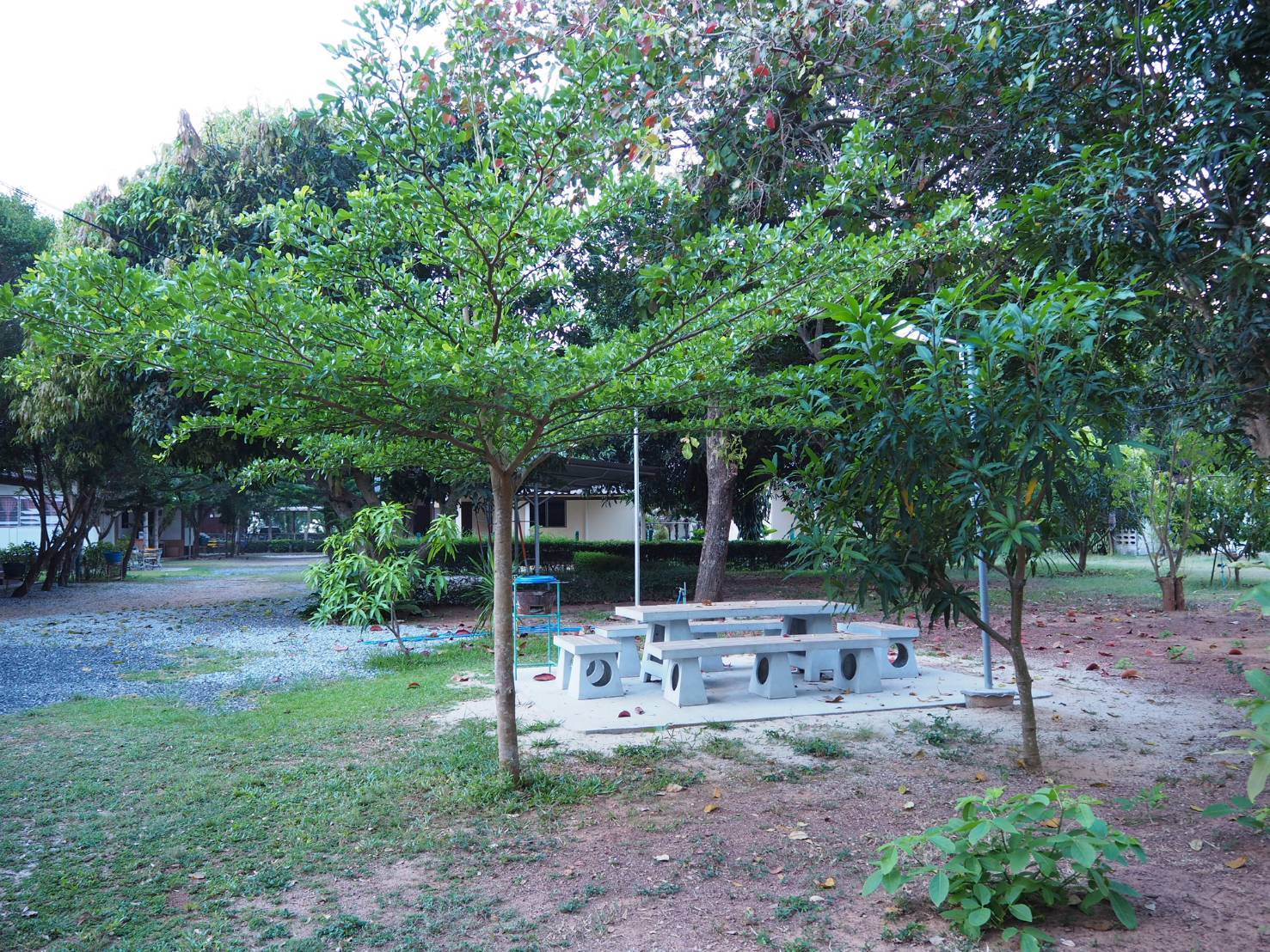 บ้านสวน 19 ภาพที่ 10