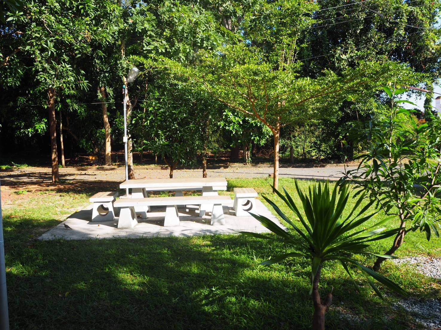 บ้านสวน 19 ภาพที่ 7