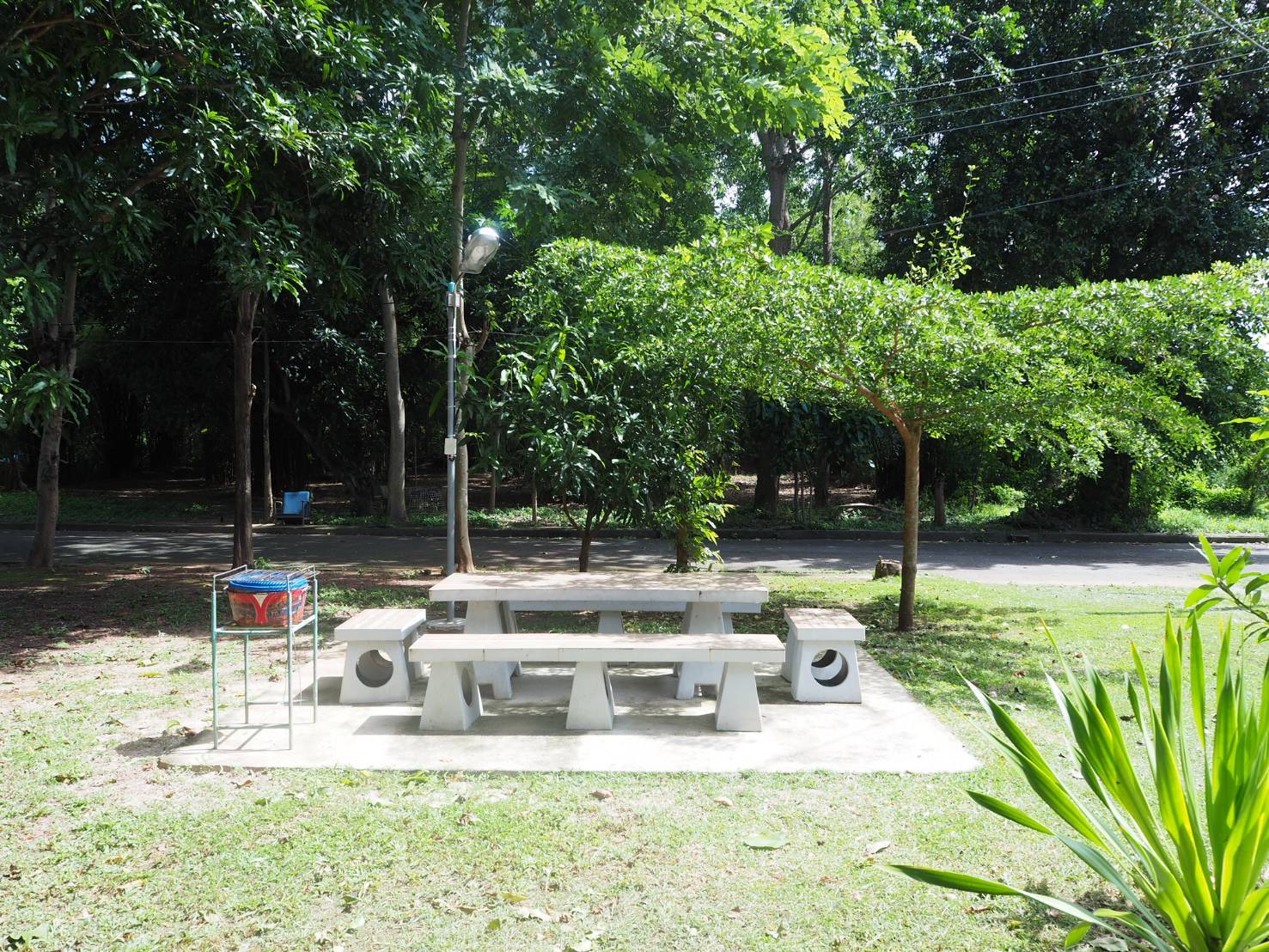 บ้านสวน 19 ภาพที่ 9